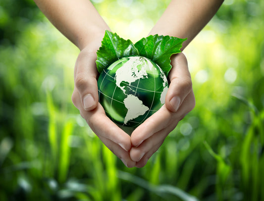 Is Home Solar Panel Right for You? New Research Says YES!