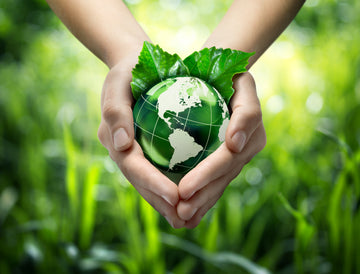Is Home Solar Panel Right for You? New Research Says YES!