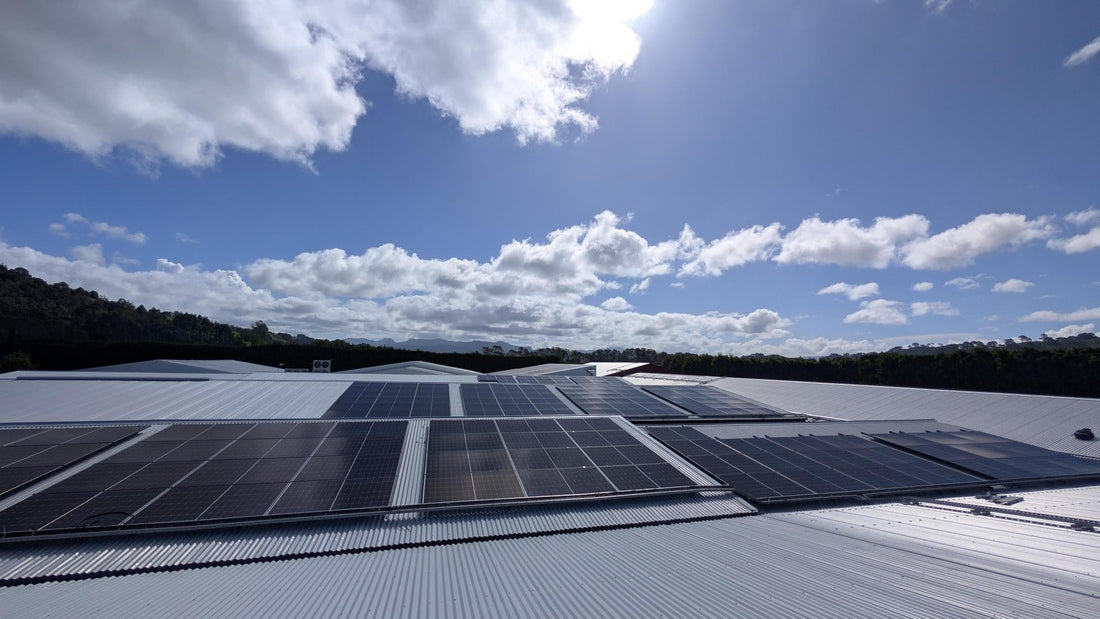 NZ Cool Store commercial solar panel installation