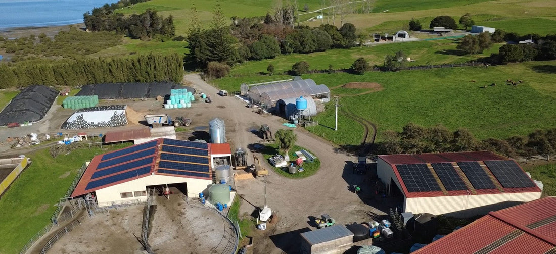 NZ Banks and the 20% Investment Boost: Why Right Now is the Smartest Time for Farmers to Go Solar